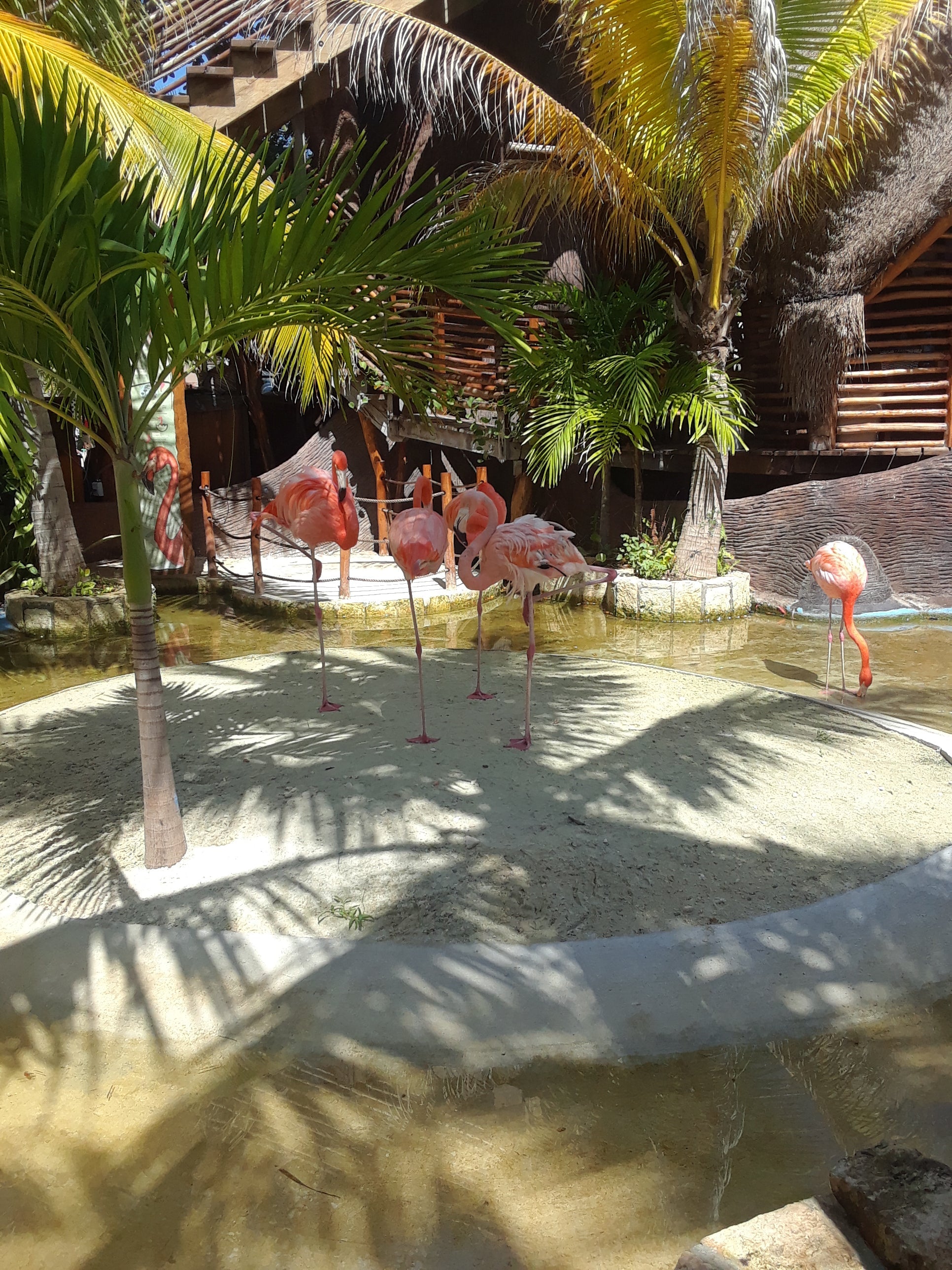 Overrated Caribbean Activities from Galveston Cruises: What You Should Skip