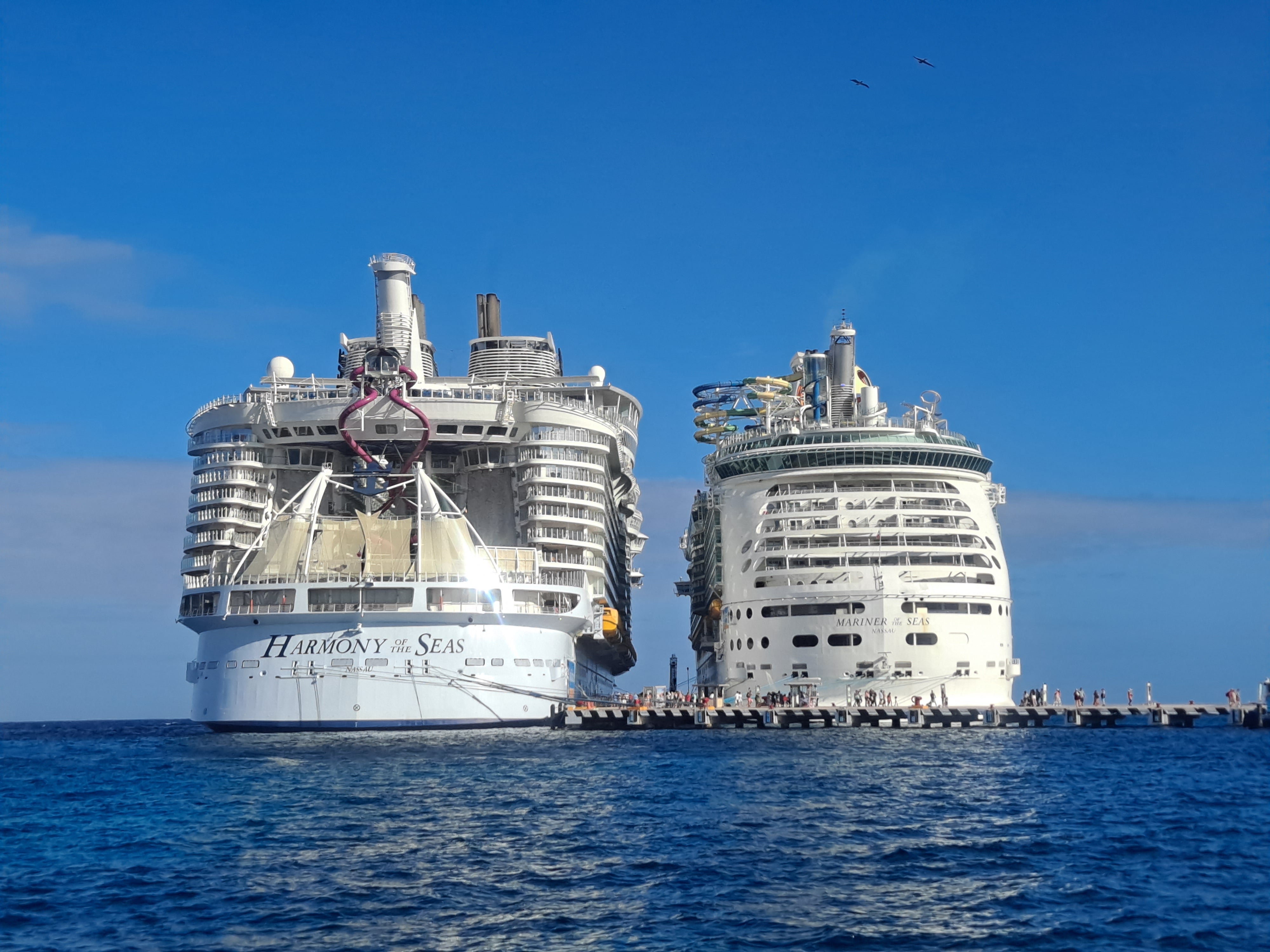 Carnival, Royal Caribbean, Disney, or Princess: Which Galveston Cruise is Best for You?