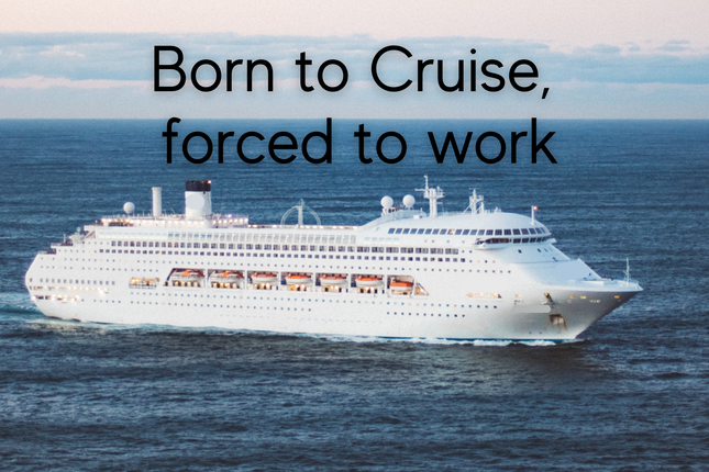 Born to Cruise 4 x 6 Door Decor Magnet