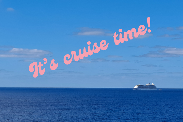 It's Cruise Time 4 x 6 Door Decor Magnet