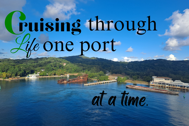 Cruising through Life one Port at a time 4x6 Picture Magnet