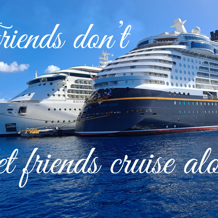 Friends don't let Friends cruise alone 4x6 Picture Magnet