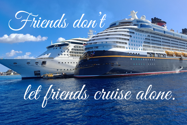 Friends don't let Friends cruise alone 4x6 Picture Magnet