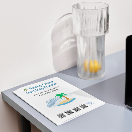 Savvy Cruiser Ultimate Starter System