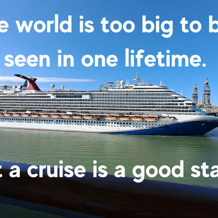 The World is too big to be seen in One Lifetime 4x6 Picture magnet