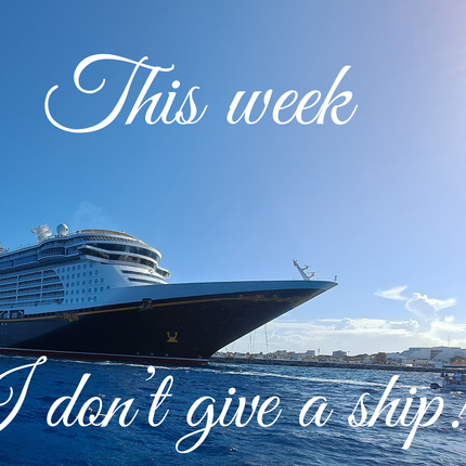 This week I don't give a ship! 4x6 Picture magnet