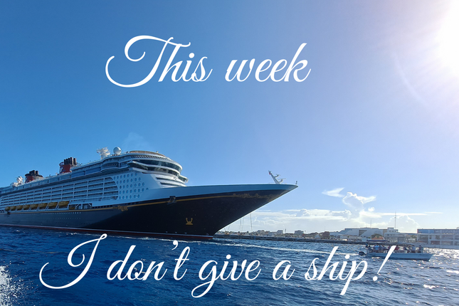 This week I don't give a ship! 4x6 Picture magnet
