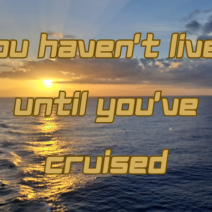 You Haven't Lived Until You've Cruised 4x6 Picture magnet