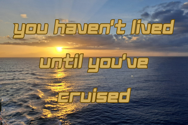 You Haven't Lived Until You've Cruised 4x6 Picture magnet